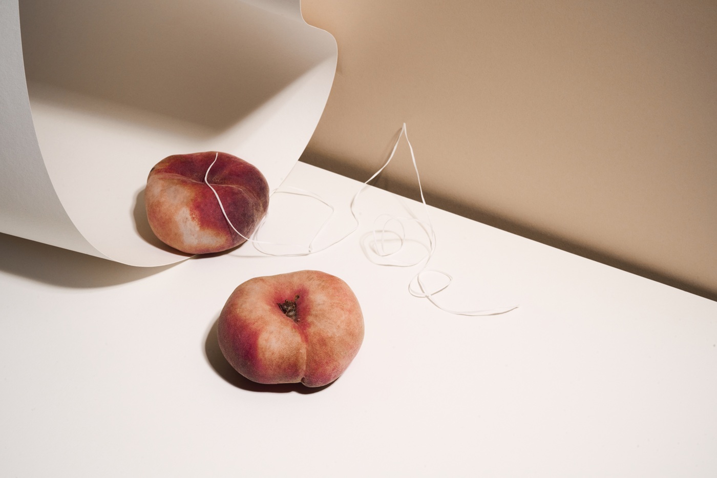 Lorem Ipsum Generator Copy