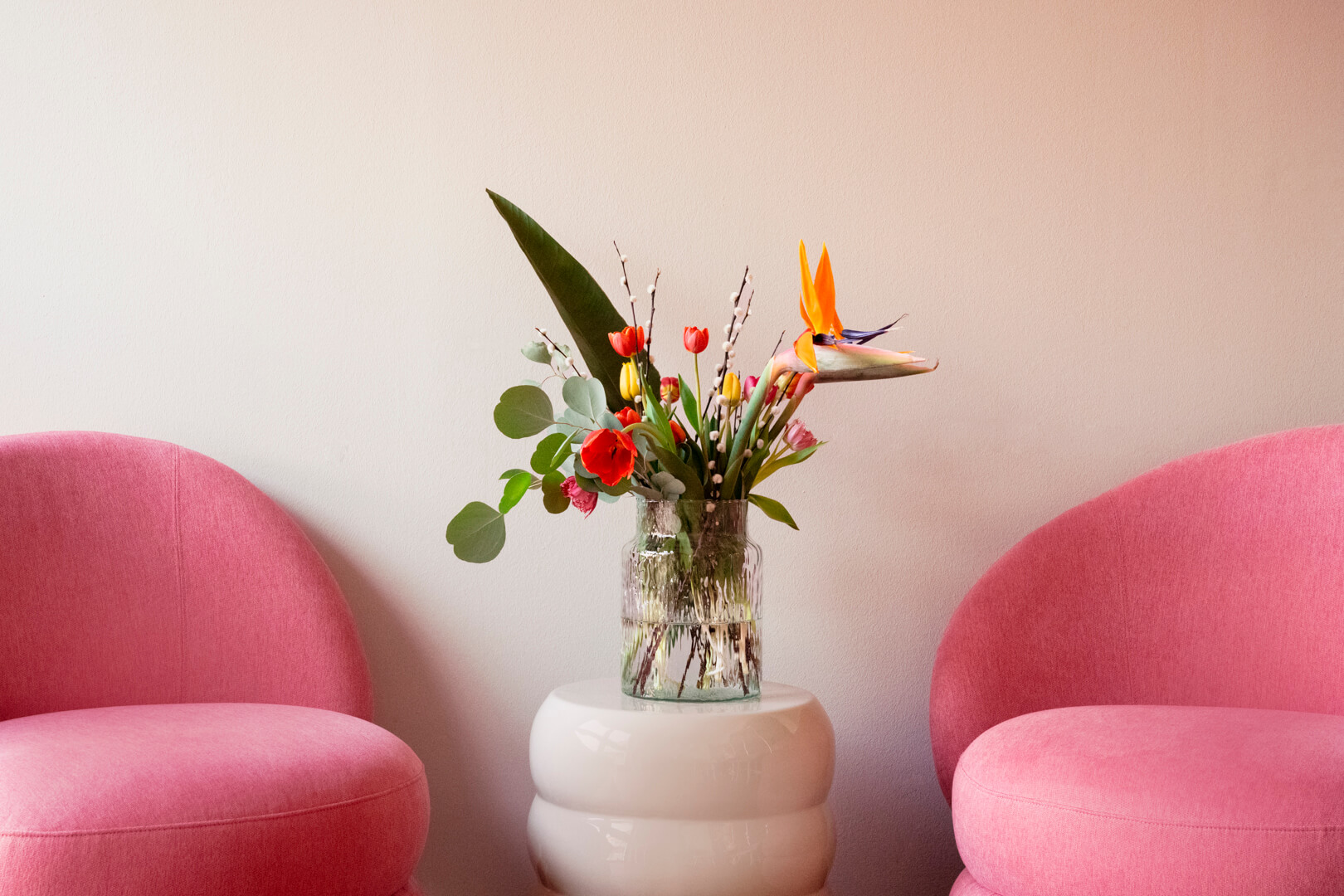 Lorem Ipsum Generator Copy